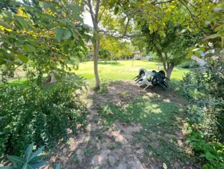 3 1 Villa Zum Verkauf Auf Der Meerseite In Seferihisar Ürkmez