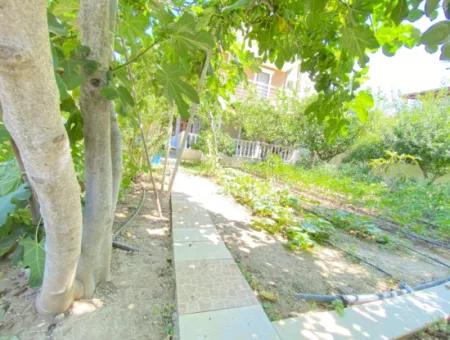 Corner Villa In Doganbey Single Detached Large Garden Ultra Luxx Villa For Sale 4 In 1