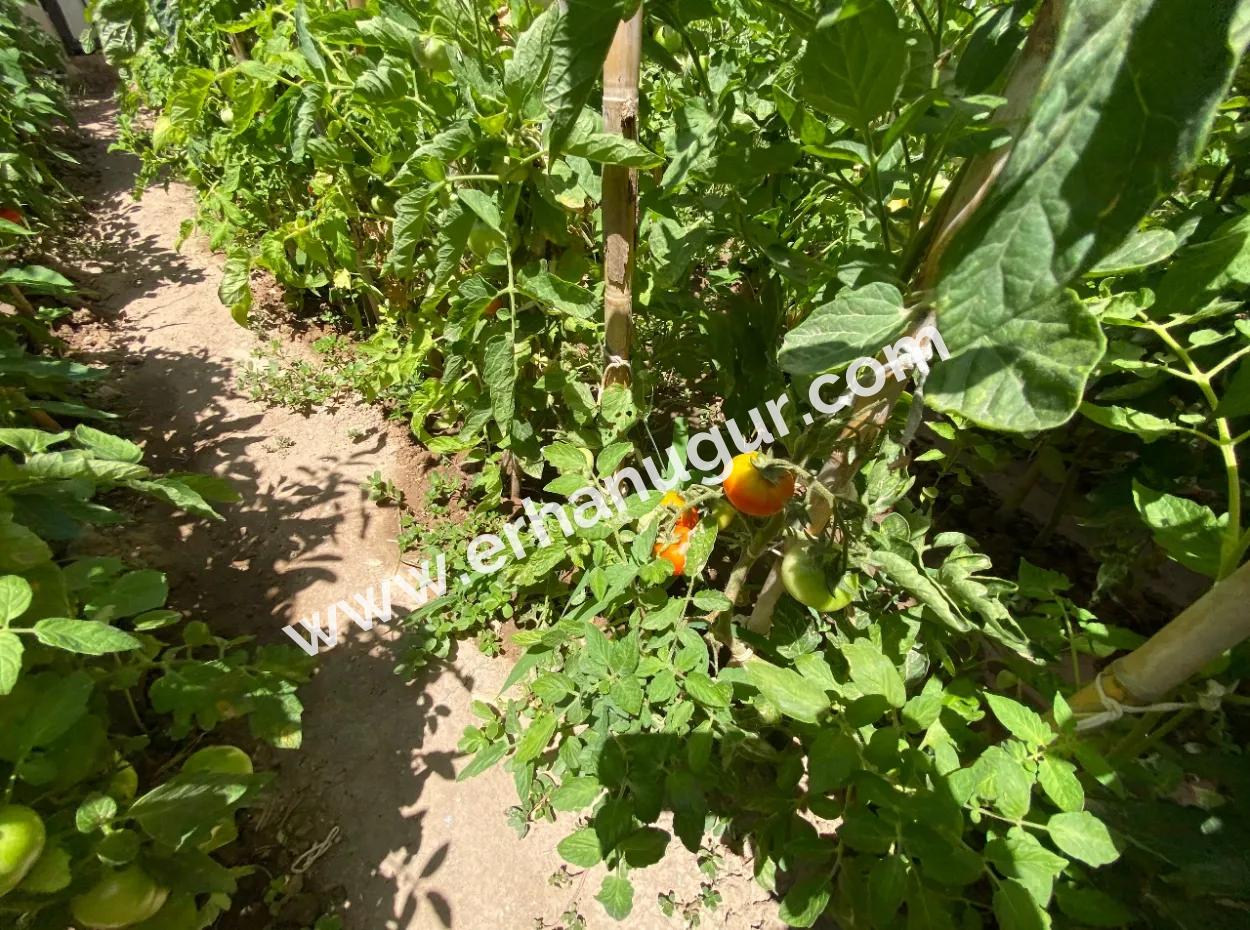 Ürkmez De Merkezde Denize 350M Geniş Ferah Yapılı Satılık 2+1 Daire